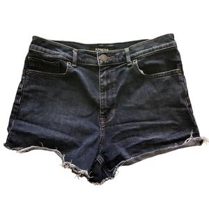 Express Denim Shorts